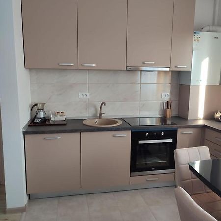 Marina'S House Apartment Ghimbav ภายนอก รูปภาพ