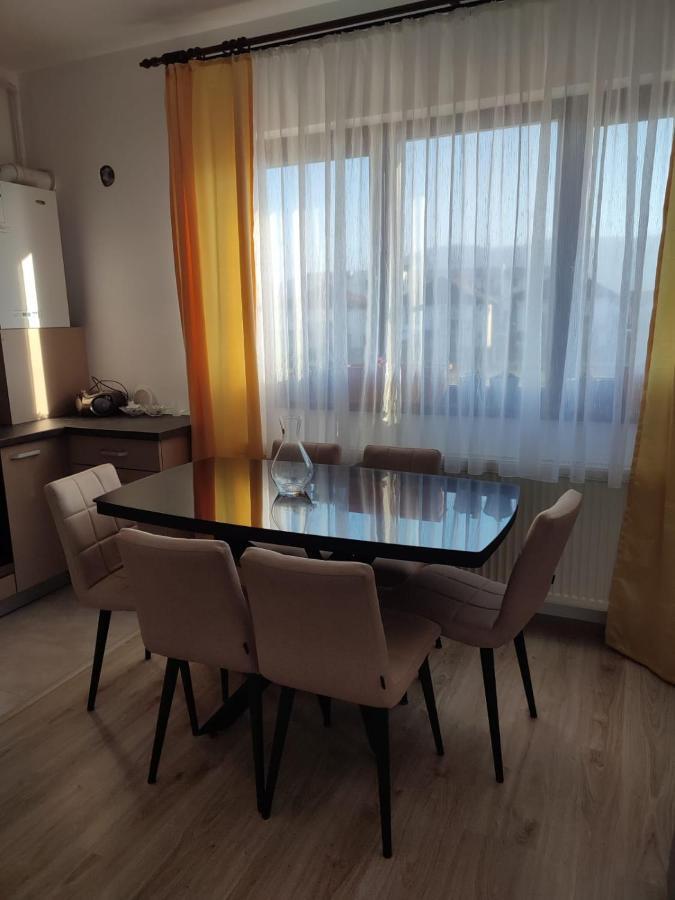 Marina'S House Apartment Ghimbav ภายนอก รูปภาพ
