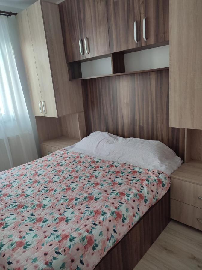 Marina'S House Apartment Ghimbav ภายนอก รูปภาพ