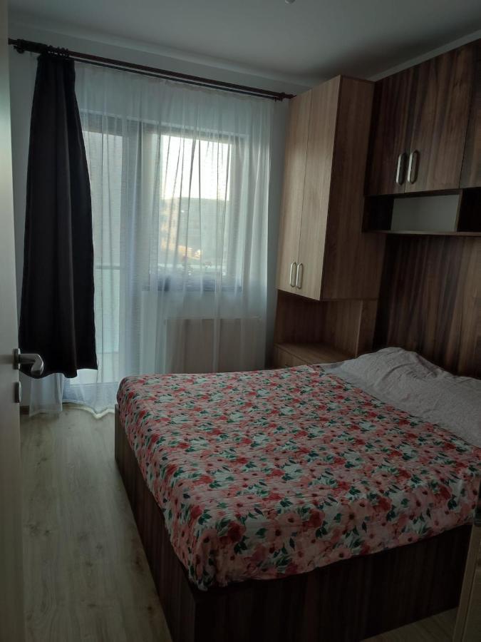 Marina'S House Apartment Ghimbav ภายนอก รูปภาพ