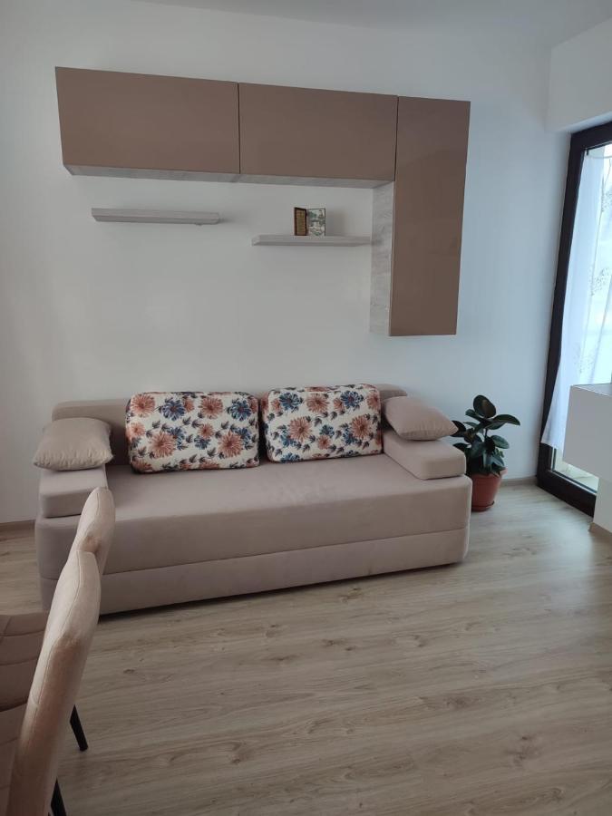 Marina'S House Apartment Ghimbav ภายนอก รูปภาพ
